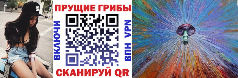 Галлюциногенные грибы Psilocybine cubensis Новоузенск
